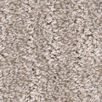 Carpet swatch | Terrace Floorcovering