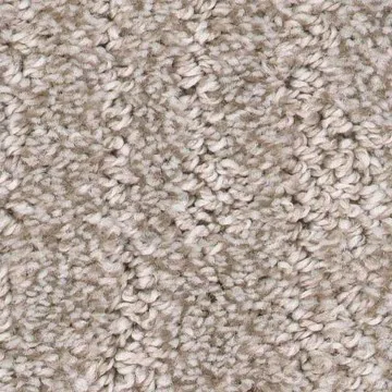 Carpet Flooring | Terrace Floorcovering